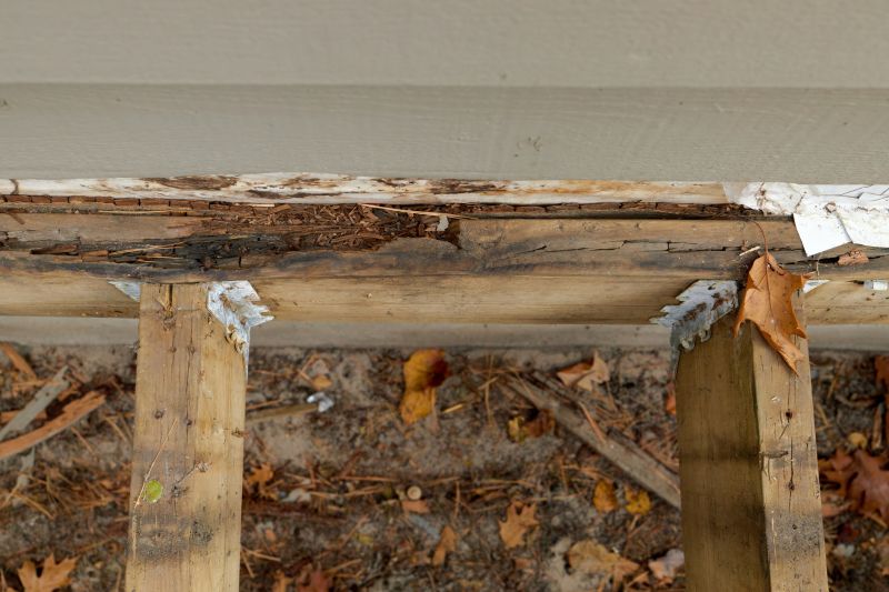Dry Rot Remediation in Longmont, CO
