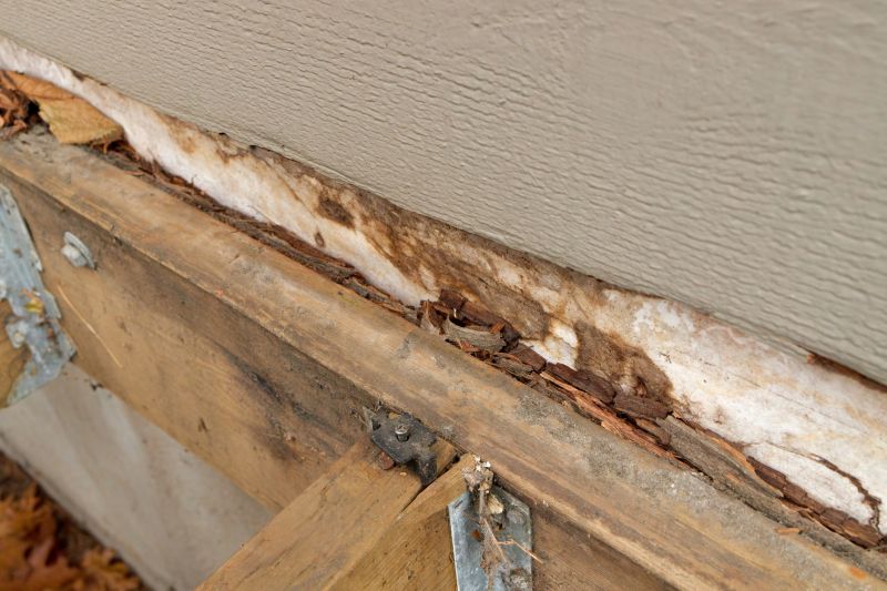 Dry Rot Remediation in Alpharetta, GA