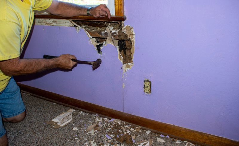 Pest Damage Repair in Overland Park, KS