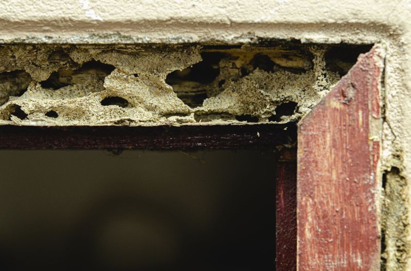 Rot Repair Service in Overland Park, KS