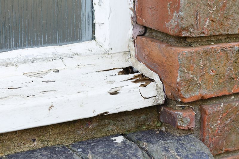 Rot Repair Service in Denver County, CO