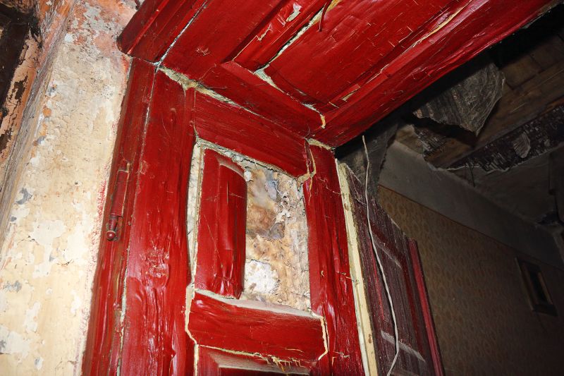 Rot Repair Service in Arvada, CO
