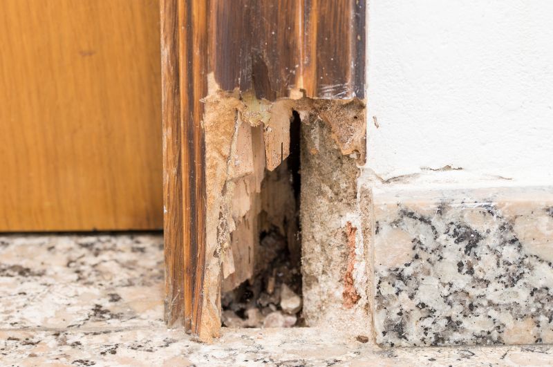 Rot Repair Service in Indianapolis, IN