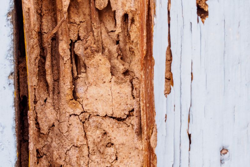Rotten Wood Repair in Overland Park, KS