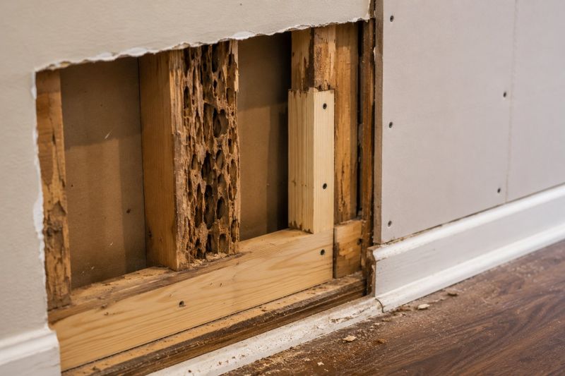 Termite Damage Repair Service in Denver County, CO