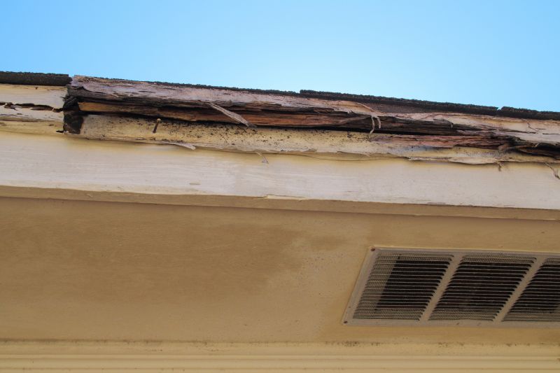 Termite Damage Restoration in Kansas City, KS
