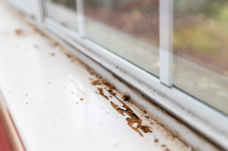 Window Rot Repair in Kansas City, MO