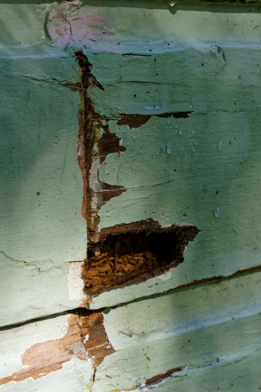Wood Decay Removal in Kansas City, KS
