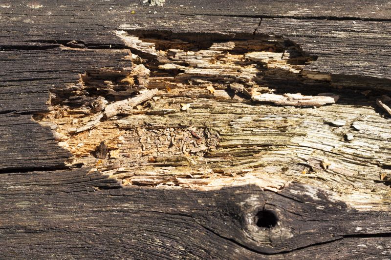Wood Decay Removal in Overland Park, KS