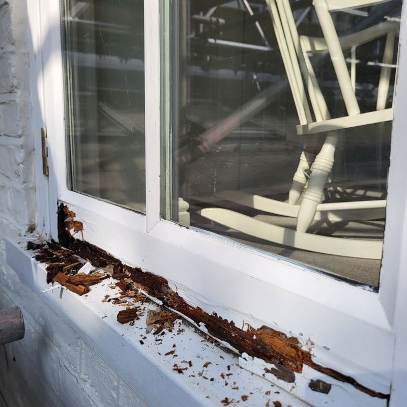 Wood Decay Removal in Conroe, TX