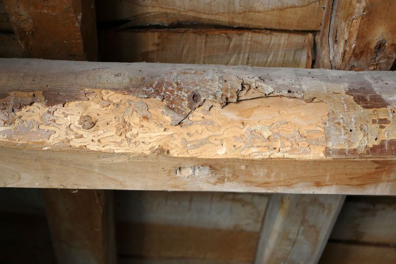 Wood Decay Repair in Kansas City, MO