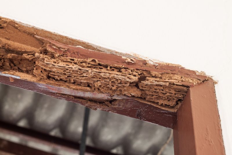 Wood Rot Removal in Kansas City, MO