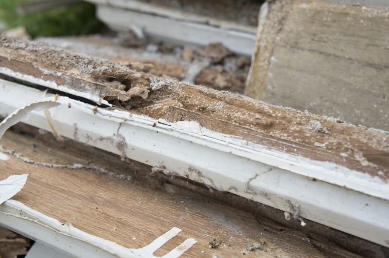 Wood Rot Removal in Longmont, CO